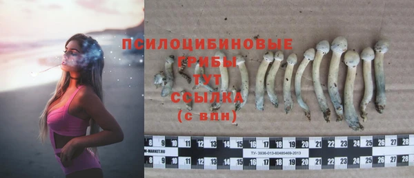 гашик Белокуриха