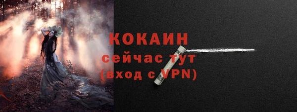 гашик Белокуриха