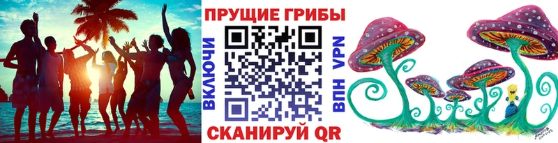 ссылка на мегу ссылка  наркошоп  Заозёрск  Псилоцибиновые грибы прущие грибы 